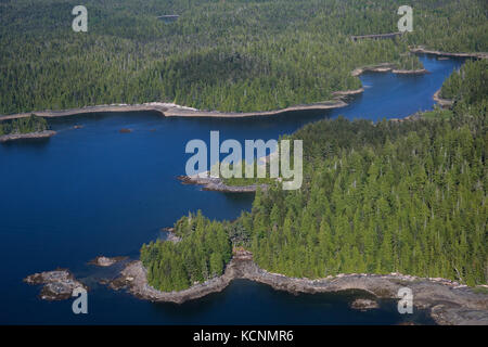 Great Bear Rainforest, Antenne von float Ebene zwischen das khutzeymateen Grizzly Bär Sanctuary und Prince Rupert, in der Nähe von Prince Rupert, British Columbia, Kanada Stockfoto