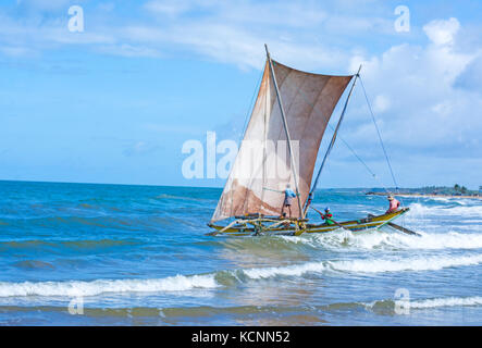 Sri Lanka die traditionelle Fischerei Katamarane in Negombo, Sri Lanka Stockfoto