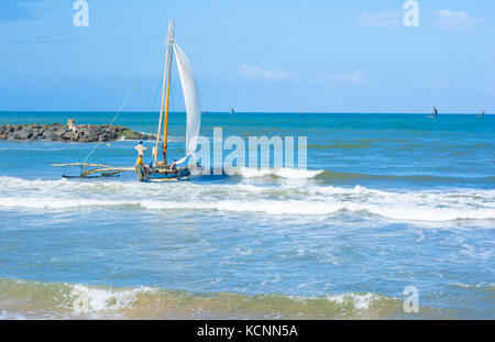 Sri Lanka die traditionelle Fischerei Katamarane in Negombo, Sri Lanka Stockfoto