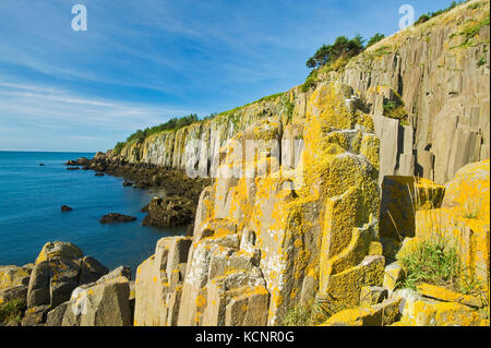 Basalt Felsen mit Flechten bedeckt, Brier Island, Bucht von Fundy, Nova Scotia, Kanada Stockfoto