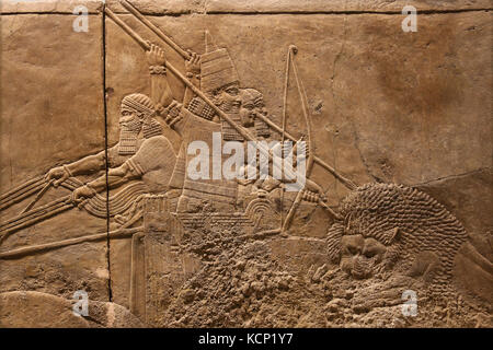 Jagd Mesopotamien Löwe. assurbanipal auf Streitwagen. Erleichterung. neo-Assyrer. Palace, Ninive, Irak. 645-635 Bc. british museum london. Stockfoto