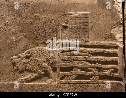 Jagd Mesopotamien Löwe. Erleichterung. neo-Assyrer. Palace, Ninive, Irak. 645-635 Bc. british museum london. Stockfoto