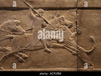 Assurbanipal Jagd Löwe. Erleichterung. neo-Assyrer. Palace, Ninive, Irak. 645-635 Bc. british museum london. Stockfoto