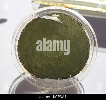 Kupfer electrotype unbekannter Original seitliche Tonaufnahme, für die Ausmerzung mehrere Pressteile, Alexander Graham Bell, hinterlegt im Oktober National Museum 1881 der amerikanischen Geschichte DSC 00107 Stockfoto