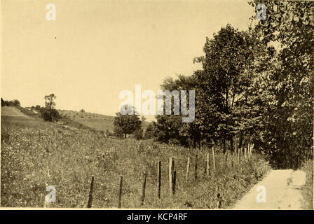 Vogel Paradies; eine intime Berücksichtigung einer lebenslangen Freundschaft mit Vogel Gemeindemitglieder (1914) (19762604573) Stockfoto