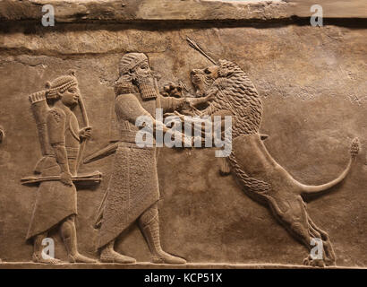 Assurbanipal Jagd Löwe. Erleichterung. neo-Assyrer. Palace, Ninive, Irak. 645-635 Bc. british museum london. Stockfoto