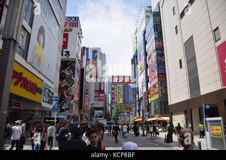 Bunte Werbung auf die Gebäude in Akihabara, berühmten Viertel für elektronische und Manga Läden in Tokio, Japan. Stockfoto