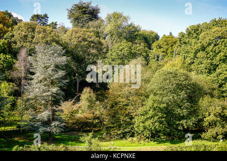 Winkworth Arboretum, godalming. 06. Okt 2017. uk Wetter. Schönen herbstlichen Bedingungen über den home Counties heute. Besucher genießen die Herbstfarben in Winkworth Arboretum in der Nähe von Godalming Surrey. Credit: James Jagger/alamy leben Nachrichten Stockfoto