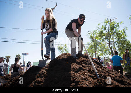 Las Vegas, USA. 6. Okt, 2017. Auf okt. 6, 2017, in der Innenstadt von Las Vegas, Nev., freiwillige Arbeit auf dem Las Vegas der heilende Garten die Opfer der Route 91 Harvest Country Music Festival Massenerschießungen zu gedenken. Credit: Jason ogulnik/alamy leben Nachrichten Stockfoto