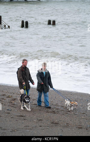 Aberystwyth Wales UK, Samstag 07 Oktober 2017 UK Wetter: Menschen gehen mit ihren Hunden am Strand entlang an einem bewölkten und luftigen Herbstnachmittag in Aberystwyth Wales Foto: keith morris/Alamy Live News Stockfoto