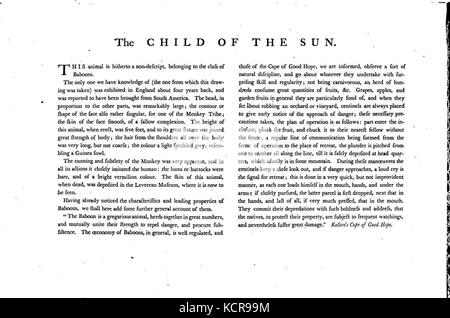 Eine Illustration aus Charles Cattons „Animals“ (1788), die eine detaillierte Darstellung der Tierwelt zeigt. Dieses Kunstwerk beleuchtet die natürlichen Formen verschiedener Tiere im klassischen Stil. Stockfoto