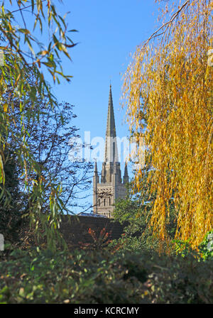 Ein Blick auf den Turm der Kathedrale und den Turm durch das Herbstlaub in Norwich, Norfolk, England, Großbritannien. Stockfoto