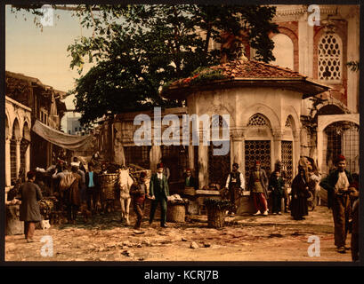 Eine Straße in Stambul mit Springbrunnen, Konstantinopel, Türkei LCCN 2001699425 Stockfoto