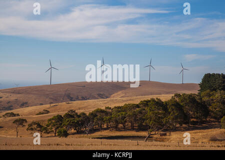 Cape Jervis Windenergieanlagen Go Green Wind Energy South Australia Stockfoto