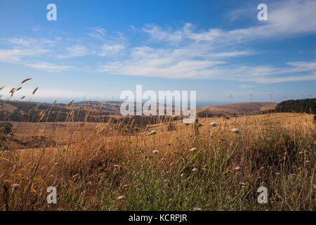 Cape Jervis Windenergieanlagen Go Green Wind Energy South Australia Stockfoto