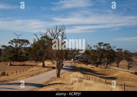 Cape Jervis Windenergieanlagen Go Green Wind Energy South Australia Stockfoto