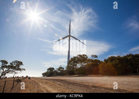 Cape Jervis Windenergieanlagen Go Green Wind Energy South Australia Stockfoto