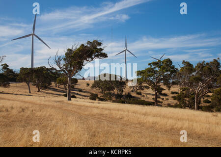 Cape Jervis Windenergieanlagen Go Green Wind Energy South Australia Stockfoto