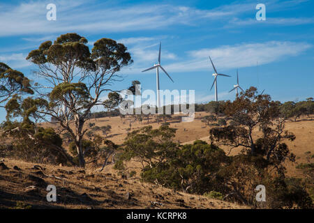 Cape Jervis Windenergieanlagen Go Green Wind Energy South Australia Stockfoto