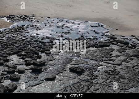 Auf Dunraven Bay Beach mit seinen ausgeprägten Schwarzen rocos um den Strand gepunktete auf anderen Gesteinsschichten saß. Stockfoto