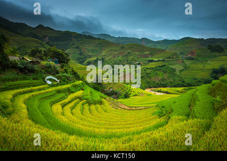 Schöne Landschaft von Reis terrasse Felder in Mu cang Chai, Vietnam Stockfoto