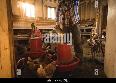 Bauer die Fütterung der Legehennen in Chicken House Stockfoto