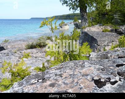 Die Hälfte Log Dump Strand am Huron See in Bruce Peninsula Ontario Kanada Stockfoto
