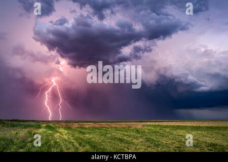 Blitzschläge treffen bei einem schweren Gewitter in der Nähe von Lamar, Colorado, ein Stockfoto