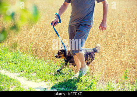 Ein Mann mit einem Hund an der Leine läuft durch das oat Feld im Sommer Stockfoto