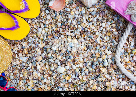 Beach Szene. Frau Zubehör. Sonnenbrille, flip flop Sandalen und Strandtasche liegen auf Meer coquina Muscheln Stockfoto