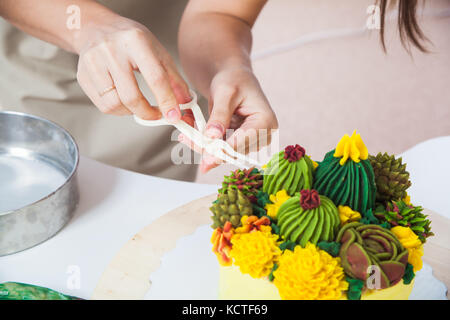 Eine Nahaufnahme der Konditor macht einer Creme von Grün und Gelb Kaktus auf einem hausgemachten yellow cake mit bicquets, Füllung aus Korinthen und Käse Stockfoto