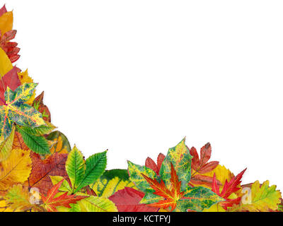 Rahmen der verschiedenen Baum Blätter im Herbst Farben Stockfoto