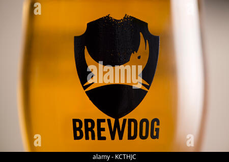 Eine Nahaufnahme einer Marke BrewDog Glas mit Firmenlogo, gefüllt mit Bier (nur redaktionelle Nutzung). Stockfoto