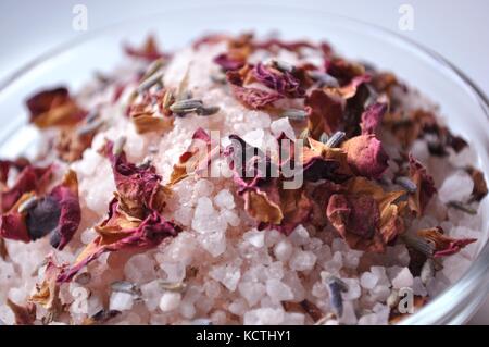 Getrocknete Blütenblätter von Heilpflanzen und Kräuter für Kosmetik, Ernährung und medizinische Zwecke. Close-up in Gläsern auf weißem Hintergrund. Stockfoto