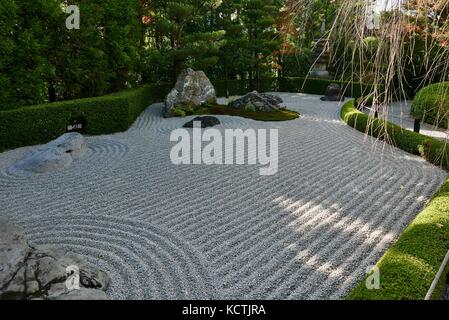 Myoshin-ji Gärten in Kyoto im Herbst Stockfoto