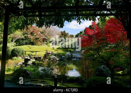 Myoshin-ji Gärten in Kyoto im Herbst Stockfoto