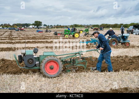 Oldtimer Traktor Pflügen Wettbewerb auf Fairford, Faringdon, Filkins und Burford Pflügen Gesellschaft zeigen. Lechlade an der Themse, Gloucestershire, VEREINIGTES KÖNIGREICH Stockfoto