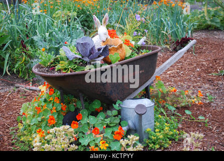 Kinder- Garten - Skagit Valley, Washington State, USA Stockfoto