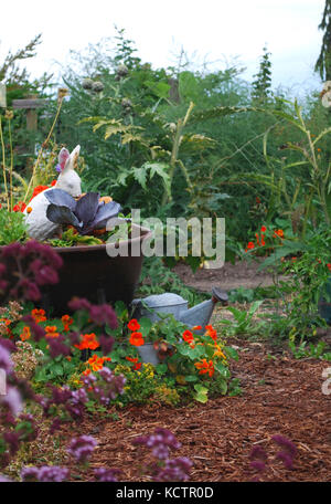 Kinder- Garten - Skagit Valley, Washington State, USA Stockfoto