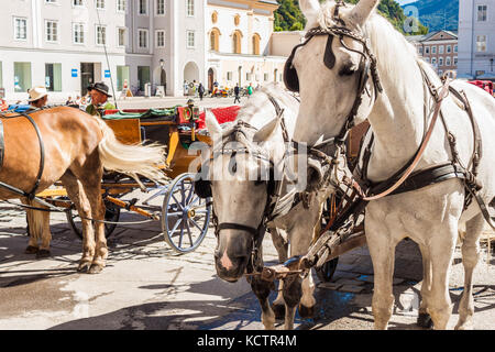 Salzburg, Österreich - 23 August 2016: elegante Pferde und Kutschen für eine Fahrt am Residenzplatz, in der Altstadt von Salzburg. Stockfoto