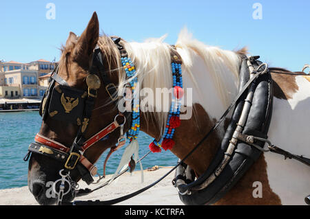 Waterfront ChaniaA Pferd verwendet traditionelle Schlitten zu ziehen Touristen auf einem Rundgang durch die Altstadt von Chania auf Kreta. Stockfoto