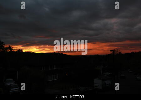 Dramatischer Sonnenuntergang durch Bäume Stockfoto