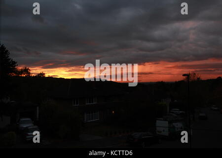 Dramatischer Sonnenuntergang durch Bäume Stockfoto