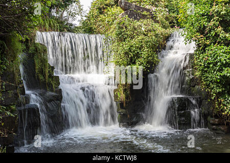 Wasserfall im Tal Penllergare Woods Estate, Swansea, Wales, Großbritannien Stockfoto