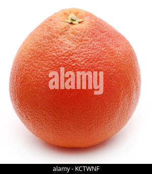 Bio Grapefruit auf weißem Hintergrund Stockfoto