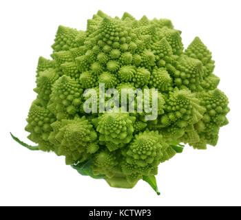 Romanesco Brokkoli auf weißem Hintergrund Stockfoto