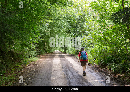Wandern an einem Feldweg in den Wald von Dean, UKwoodland Stockfoto