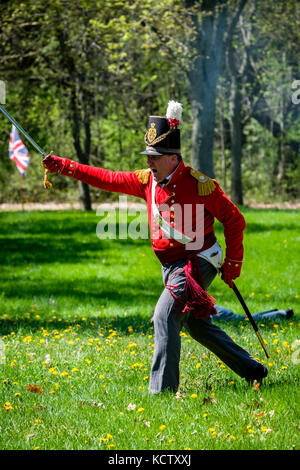 Schlacht von longwoods Reenactment und anglo-amerikanischen Krieg von 1812, März 1814, britischer Offizier Aufladen der Feind, Minnesota, Ontario, Kanada. Stockfoto