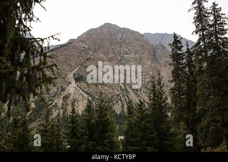 Kirgisistan. Schlucht barskoon. Schöne Sicht auf die Berge, mit Nadelwald bedeckt. Stockfoto