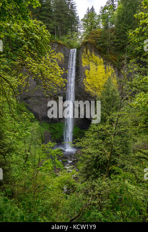 Latourell Falls ist ein Wasserfall entlang der Columbia River Gorge in Oregon, im Guy W. Talbot State Park. Der historische Columbia River Highway verläuft in der Nähe, und an bestimmten Orten sind die Lower Falls von der Straße aus sichtbar. Stockfoto
